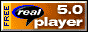 Real Audio Player